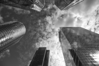 Skyscrapers in the modern high-rise La Défense district, black and white, Paris, France