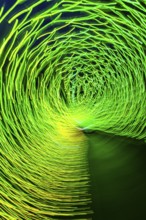 Light, tunnel, in motion, light tunnel, changes light color, light installation at park lights in