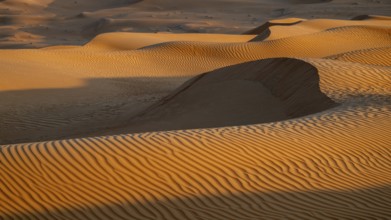 Sand dunes in the Rhub al Khali desert, detailed view, empty quarter, largest sandy desert in the
