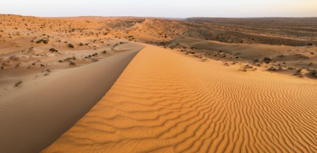 Sand dunes in the Wahiba Sands desert, Oman