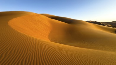 Sand dunes in the Rhub al Khali desert, empty quarter, largest sandy desert in the world, Oman