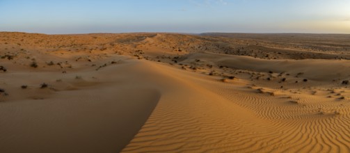 Sand dunes in the Wahiba Sands desert, Oman