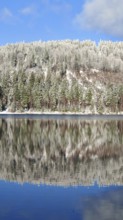 Snowy forest reflecting in a quiet lake on a clear winter day, Rennsteig, Thuringian Forest