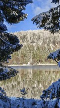 Snowy lake with forest reflection, blue sky and clear winter atmosphere, Rennsteig, Thuringian