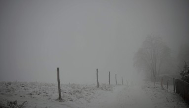 Foggy, snowy landscape with fences and dark sky, Rennsteig, Thuringian Forest