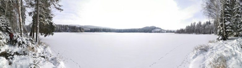 Panoramic view of frozen snowy lake, Rennsteig, Thuringian Forest