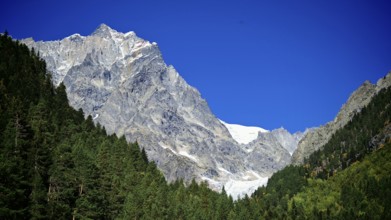 Impressive rocky mountain landscape with dense green forests, Chalaadi Glacier, Georgia