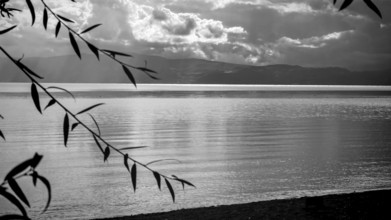 Black and white photo of a quiet lake with branches in the foreground and clouds above, Lake Ohrid,