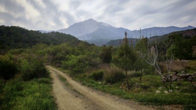 A dirt road leads through lush vegetation to a distant mountain of Tahtali, Lycia, Turkey