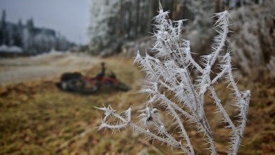 Ice crystals on plant in foreground, blurred bicycle in background