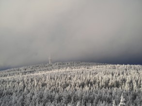 A snow-covered forest with a tower disappearing in fog on a hill, view from Nusshardt towards