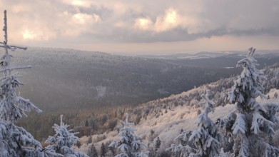 Winter landscape with snow-covered trees and view of distant mountains in light, Fichtelgebirge,