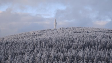 A snow-covered forest and a remote observation tower on a hill, view from Nusshardt towards