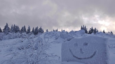 Snowy forest with a smiley face drawn in snow under a cloudy sky, Fichtelgebirge, Bavaria