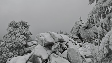 Snow-covered rocks and trees under a grey sky. Barren, quiet landscape, Fichtelgebirge, Bavaria