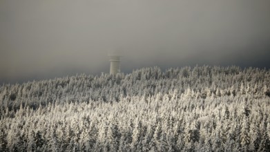 Snowy forest with a tower submerged in fog under a twilight sky, view from Nusshardt towards