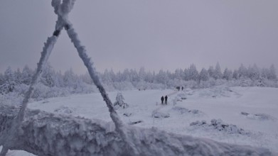 Snowy landscape with hikers and forest in the background. Twilight, quiet atmosphere, Schneeberg,