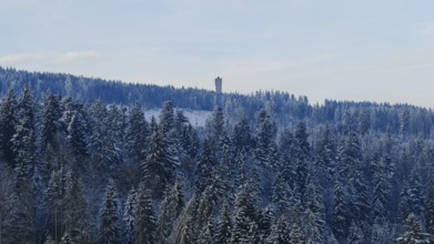 Snowy forest with a tower on a hill under a clear sky, Rennsteig, Thuringian Forest