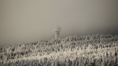 Snowy forests with a tower disappearing in fog, view from Nusshardt towards Bacöfele Schneeberg,