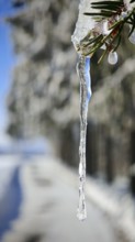 Close-up of a long icicle against a blurred background, Fichtelgebirge, Bavaria