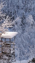 Snowy high chair in the forest with winter surroundings, Fichtelgebirge, Bavaria