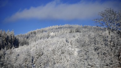 Snowy mountain with blue sky in the background, Fichtelgebirge, Bavaria