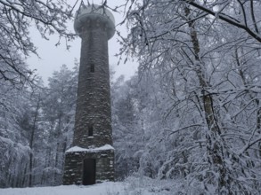 A stone tower stands in a snowy forest and conveys a mystical winter atmosphere, Lucas Cranach