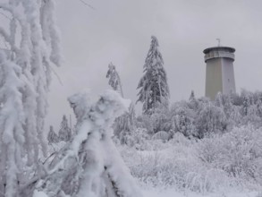 A snow-covered tower in a wintery forest landscape, Thüringer Warte, Frankenwald nature park Park