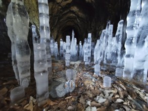 Ice towers grow from the bottom of a rocky cave surrounded by winter cold, ice stalagmites,