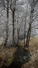 A small stream snakes through a wintery, snowy forest, mystical, romantic, Franconian Forest nature