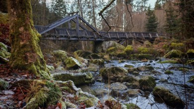 A river flows under a wooden bridge, Teufelssteg, surrounded by moss-covered rocks and forest,