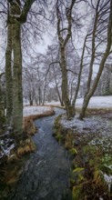 A stream snakes through a snow-covered forest landscape with bare trees, mystical, romantic,