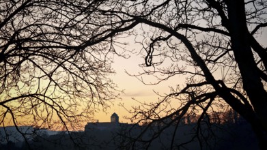 Castle surrounded by branches at sunset, with soft colors of the sky in the background