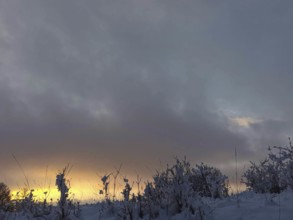 Winter landscape with snow-covered ground and dramatic sky