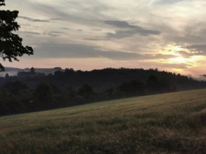 Wide green landscape with castle in the haze of sunrise