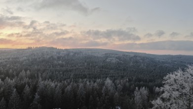 Snowy forest landscape under a twilight sky at dusk