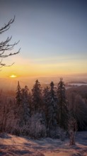 Winter landscape with snowy trees and a peaceful sunset sky