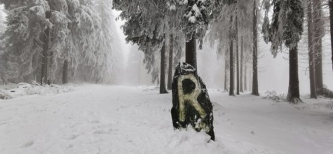 Wintery forest with snow-covered rocks and tall trees, quiet and white landscape, Rennsteig,
