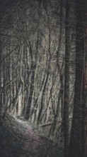 Dark, mysterious forest path lined with tall trees, gloomy atmosphere