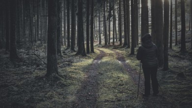 A person with Nordic walking sticks walks through a mossy forest path in the soft morning light