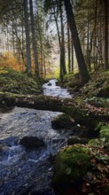 Quiet stream, surrounded by idyllic autumnal forest and trees, romantic atmosphere, Frankenwald