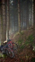 A bicycle leaning against a tree in a foggy forest on a moss-covered path, mystical, romantic,