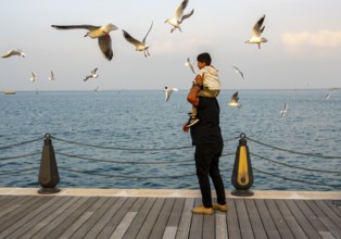 Mina District across from the cruise terminal, locals and tourists feed the seagulls, Doha, United