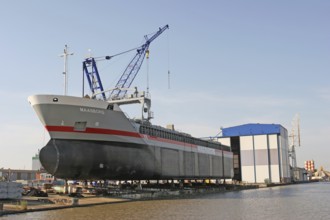 Freight ship MAASBORG at the shipyard, Leer, East Frisia, Germany