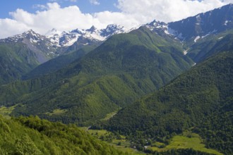 Wide green valley with snow-covered mountains in the background under clear sky, landscape near