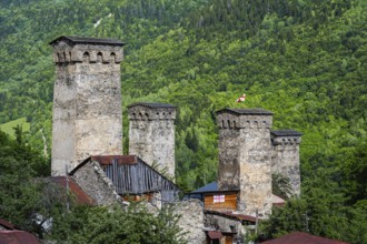Historic defense towers surrounded by green trees and forest, in the background a small flag,