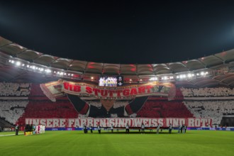 Choreo, choreography, fan action VfB Stuttgart, Cannstatter Kurve, OUR COLORS ARE WHITE AND RED