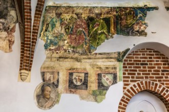 Cloister, Franciscan Church, 1249, Krakow, Poland