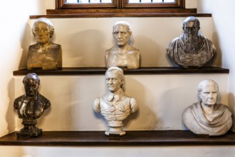 Old library with busts of scholars, Collegium Maius oldest building of the Jagellonian University,