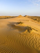 Sand dunes in the Wahiba Sands desert, Oman